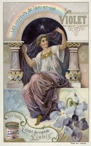 Violeta de European School