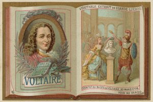 Voltaire de European School