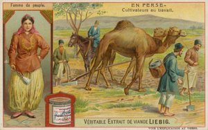 Mujer y Agricultores Trabajando de European School