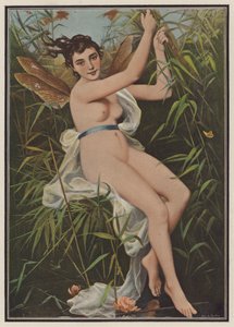 Mujer vestida de libélula (litografia en color) de European School