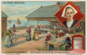 Mujeres preparando sardinas de European School