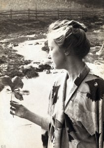 La hoja de la manzana de mayo de Eva Lawrence Watson Schutze
