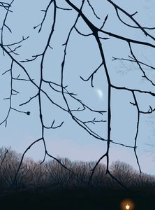 Ramas, amanecer, Prospect Park (arte digital) de Evan Sklar