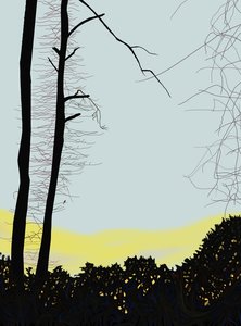 Cardenal en el árbol (arte digital) de Evan Sklar