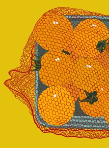 Tomates cherry en contenedor (arte digital) de Evan Sklar