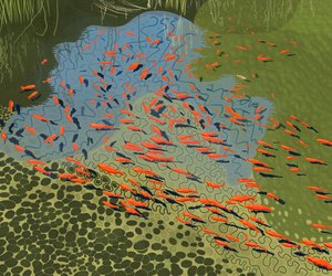 Estanque Coy en el jardín botánico (arte digital)