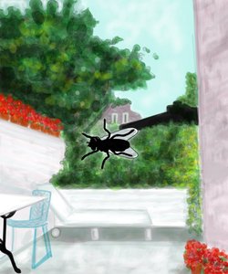 Fly On Window, Brooklyn (arte digital)