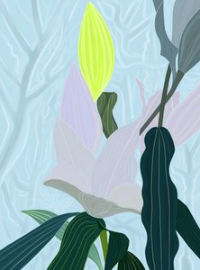 Lily (arte digital) de Evan Sklar