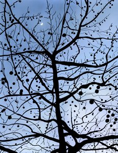 London PlaneTree y Moon, Brooklyn (arte digital) de Evan Sklar