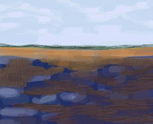Low Country, 2016 (dibujado a mano en un iPad con un lápiz Apple).