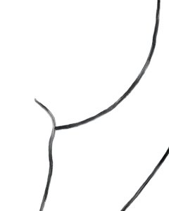 Desnudo. (arte digital)