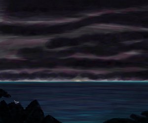 Océano y cielo con pájaro de noche de Evan Sklar