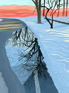 Charco y nieve en el parque, Brooklyn (arte digital) de Evan Sklar