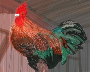 Gallo en el granero, 2018 (dibujado a mano en un iPad con un lápiz de Apple)