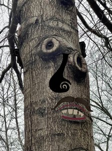 Cara de árbol , c.2020-24 (arte digital)