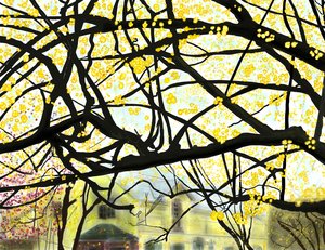 Yellow Blooming Tree, Brooklyn (arte digital)