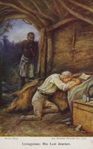 David Livingstone de Evelyn Stuart Hardy