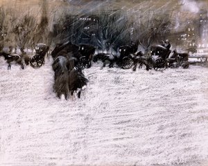 El parque en invierno
