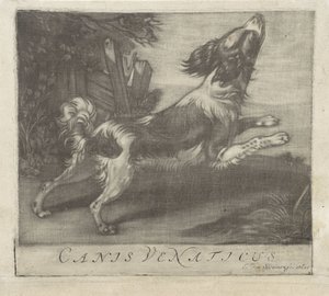 perro saltando Canis Venaticus (título sobre el objeto) de Evert van Sweinen