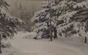 Invierno en las islas de San Petersburgo de Evgeni Ivanovich Stolitsa