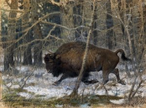 "le bison des bois" Peinture au pastel de Evgeny Alexandrovich Tichmenev (Tikhmenev) (1869-1934) 1910 Collection privee de Evgeny Alexandrovich Tikhmenev