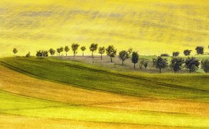  de Ewa Całkosińska-Kajzer
