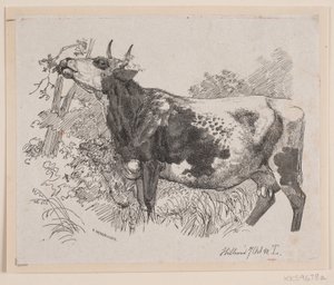 Una vaca comiendo hojas de un árbol