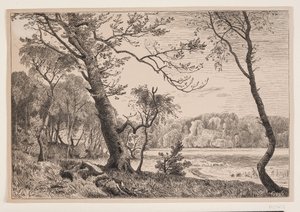 El bosque cerca de Silkeborg hacia el banco de la señora de F. Hendriksen