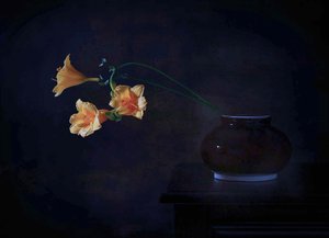  de Fangping Zhou
