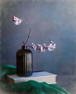  de Fangping Zhou