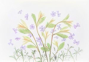  de Fangping Zhou