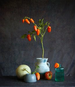  de Fangping Zhou