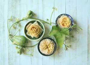 Calabazas con rosas en tonos pastel