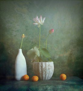  de Fangping Zhou