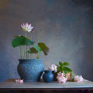  de Fangping Zhou
