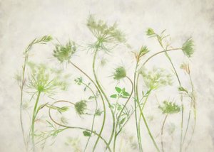  de Fangping Zhou
