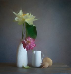  de Fangping Zhou