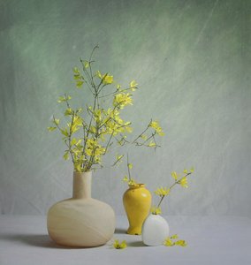  de Fangping Zhou