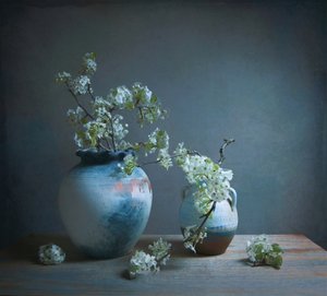  de Fangping Zhou