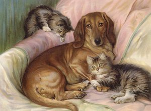 Compañeros de juego - perro y dos gatos, sentados en un sofá