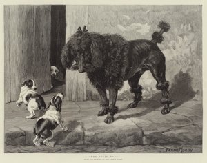 El Hombre del Saco de Fannie Moody
