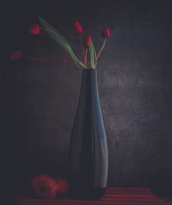 Elegantes tulipanes rojos de Farid Kazamil