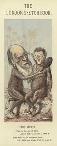 Caricatura de Charles Darwin