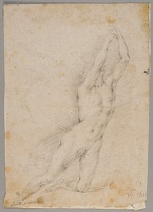 Dibujo de Fedele Fischetti