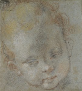 Cabeza de un Niño