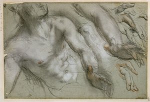  de Federico Barocci