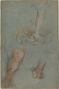 Estudios para un sirviente en "La última cena" de Federico Barocci