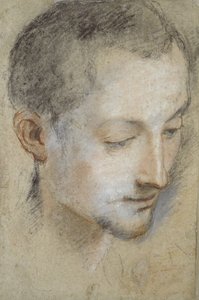 Estudio de la cabeza de un joven de Federico Barocci