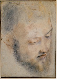 Estudio de cabeza - Dibujo de Barocci de Federico Barocci