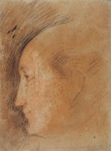 Cabeza de mujer de perfil hacia la izquierda de Federico Barocci